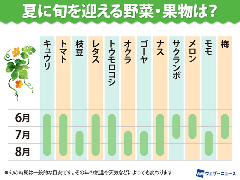 夏に旬を迎える野菜・果物は？ 旬の食材カレンダー