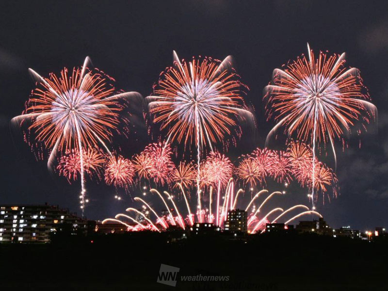 月花様確認用 STAMP】誕生月花シリーズ【7-9月】【スタンプヘッド】 | シーリング