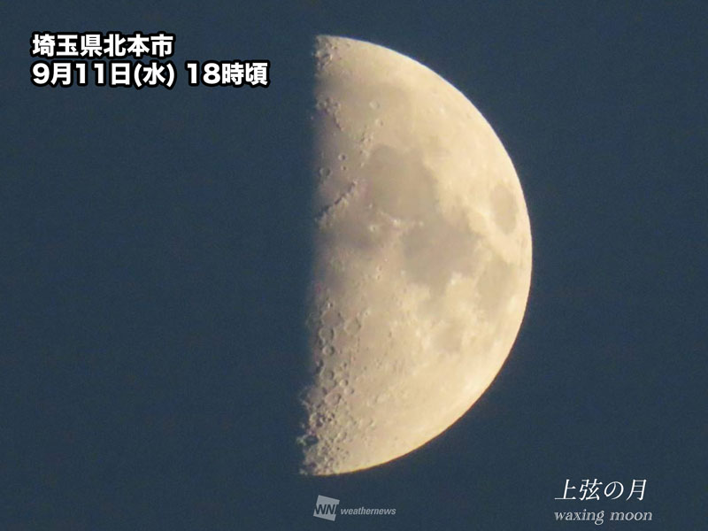 今日9月11日(水)は「上弦」 半月が夜空に浮かぶ - ウェザーニュース