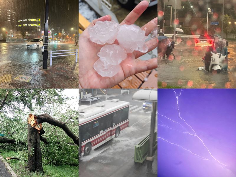 雷雨さま専用ページ 2024年のゲリラ雷雨は全国で約7.9万回、関東は落雷が顕著に