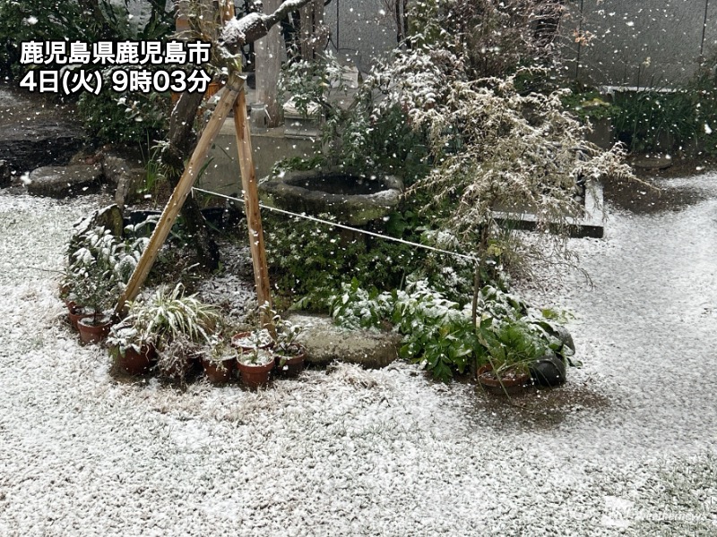 最強寒波で西日本の広範囲で雪 鹿児島市内でも積雪