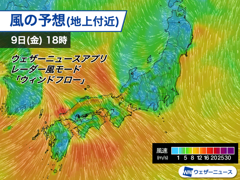 なんと言われようとオレ流さ 冨澤大智が不意打ちされてブチギレ！卑怯すぎる…【BreakingDown