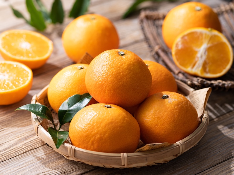 今が旬のみかん 長く美味しい状態を保つには