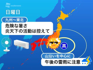 スイカはなぜ 西瓜 と書くのか ウェザーニュース