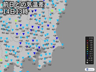 花粉症 雨の日は大丈夫 は間違い その原因と対策とは ウェザーニュース