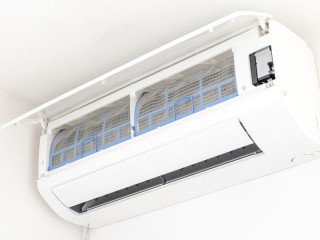 緑を見ると目にいい って本当 ウェザーニュース