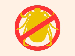 緑を見ると目にいい って本当 ウェザーニュース