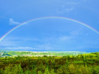 てるてる坊主」の歌に隠された意外な秘密 - ウェザーニュース