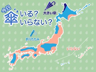 夏の風物詩 セミ の鳴き声がわかりますか ウェザーニュース