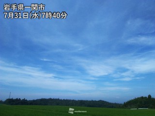 夏の風物詩 セミ の鳴き声がわかりますか ウェザーニュース