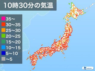 夏の風物詩 セミ の鳴き声がわかりますか ウェザーニュース