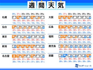 コンクリートを食べるってホント 知られざるカタツムリの世界 ウェザーニュース