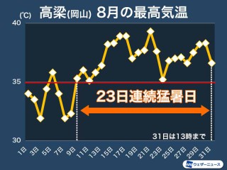 セミ爆弾 セミファイナルの見分け方とは ウェザーニュース