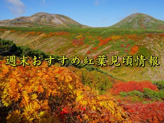 山形蔵王 山形 の紅葉見頃情報 紅葉情報 ウェザーニュース