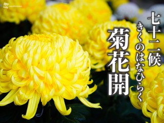 202010120075_top_img_A_320x240