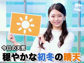 イチョウの蝶々 ちょうちょ の作り方 子どもと簡単にできる工作 ウェザーニュース