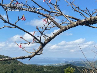 桜 開花 花見情報 21 最新の桜開花 見頃 名所情報 ウェザーニュース