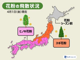 花粉の飛散情報 22 ウェザーニュース