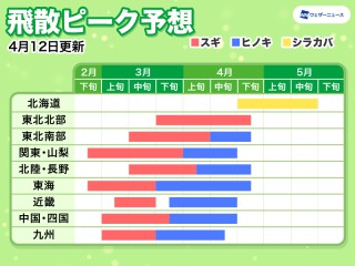 兵庫の花粉飛散情報 22 ウェザーニュース