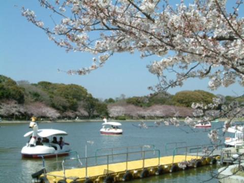 兵庫の桜 名所情報21 桜開花 名所情報 ウェザーニュース