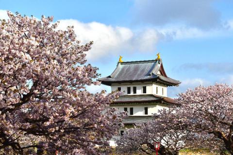 北海道の桜 名所情報21 桜開花 名所情報 ウェザーニュース