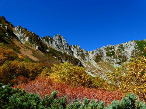 紅葉リポート 紅葉情報 ウェザーニュース