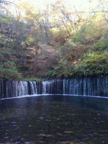 紅葉リポート 紅葉情報 ウェザーニュース