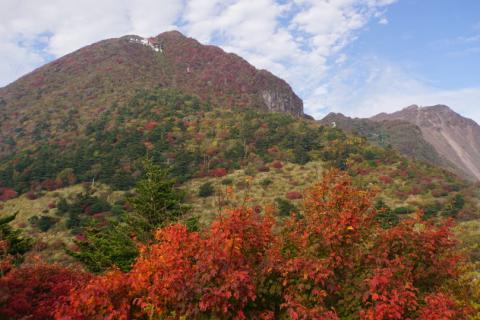 紅葉リポート 紅葉情報 ウェザーニュース