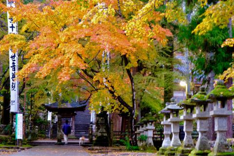 紅葉リポート 紅葉情報 ウェザーニュース