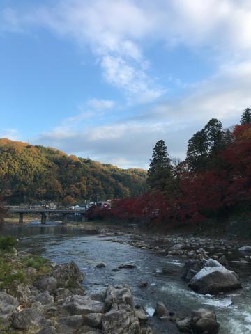 紅葉リポート 紅葉情報 ウェザーニュース