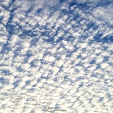 広範囲で空一面のうろこ雲 注目の空の写真 ウェザーニュース