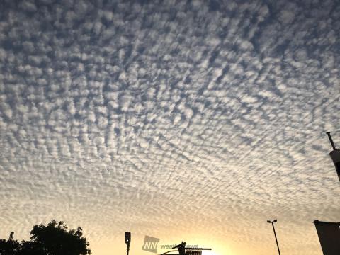 広範囲で空一面のうろこ雲 注目の空の写真 ウェザーニュース