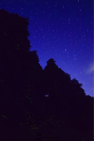 幻想的な蛍の光 注目の空の写真 ウェザーニュース
