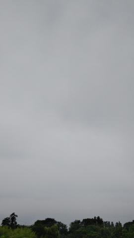おはようございます 今は曇り 山梨県山梨市 カラス ウェザーニュース