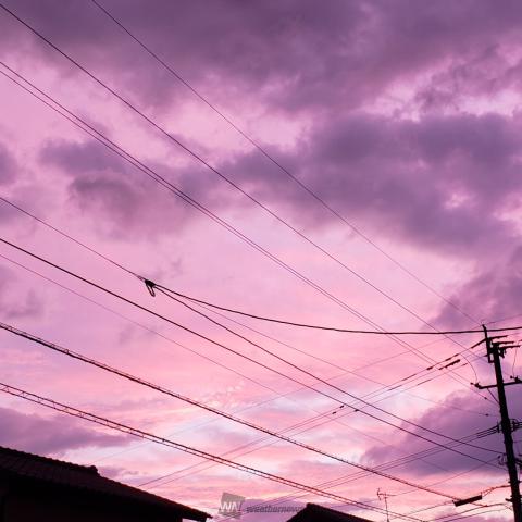 ピンクな夕焼け空 注目の空の写真 ウェザーニュース