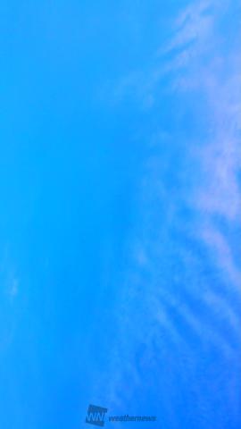 薄い水色の空 淡い雲が 少し 千葉県千葉市美浜区 二日月桜 ウェザーニュース