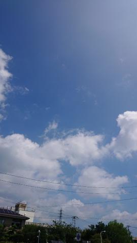 今日もいい天気で暑いです 雲もあります 神奈川県秦野市 来夢 ウェザーニュース