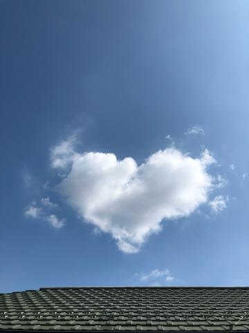 雲画廊 何に見える 注目の空の写真 ウェザーニュース