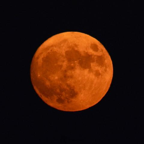 昨夜の 中秋の名月 注目の空の写真 ウェザーニュース