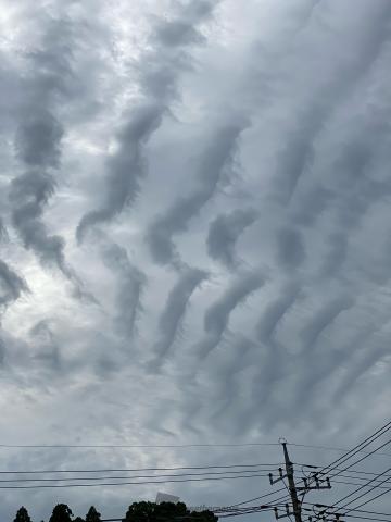 曇った空にナミナミ雲 注目の空の写真 ウェザーニュース
