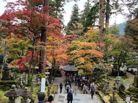 紅葉リポート 紅葉情報 ウェザーニュース