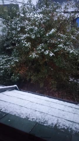 朝は名古屋で雪うっすら 注目の空の写真 ウェザーニュース