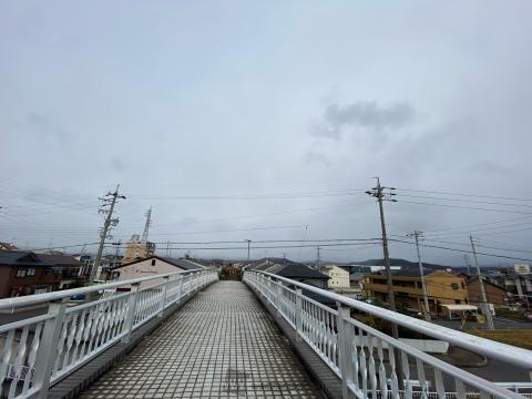 朝は名古屋で雪うっすら 注目の空の写真 ウェザーニュース