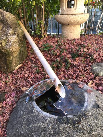 今朝の氷アート は 筧と手水鉢が庭に 東京都八王子市 ちぃよし ウェザーニュース