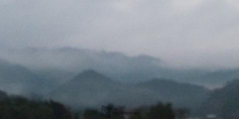 霧に覆われた山々。...