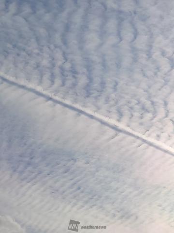 長 くのびる飛行機雲 注目の空の写真 ウェザーニュース