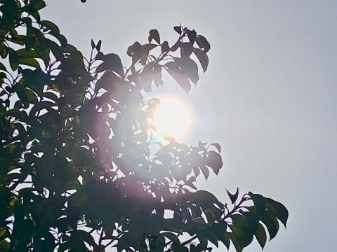 太陽 の日差しが 照りつけています 雲 大分県大分市 Kei ウェザーニュース