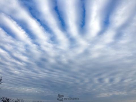 癒しのリポート すきな雲編 注目の空の写真 ウェザーニュース