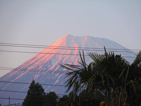 夕方の富士山です...