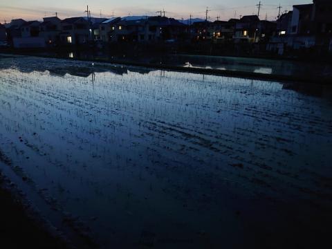 癒やしの夜景 注目の空の写真 ウェザーニュース